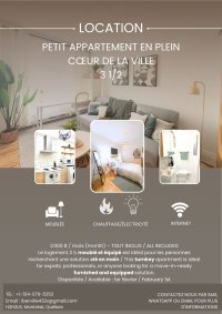 Charmant 3 1/2 clé en main, entièrement meublé et équipé sur le Plateau Mont-Royal  - 3 ½ meublé avec goût au Plateau. Confort avec cachet, fonctionnel et vie urbaine à pied. Parfait pour professionnel, expatrié ou couple tranquille.