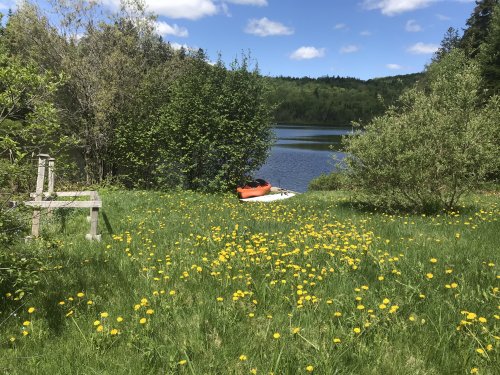 Vue sur le lac